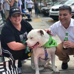 Meet your Posher, Michael